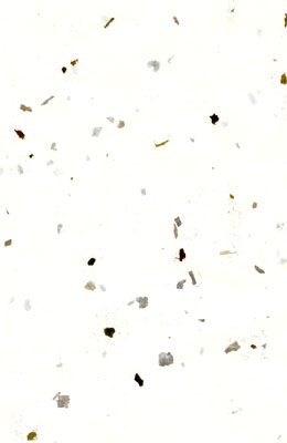 -65X100cm- 흰색티지10장