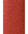 크기70X135cm 발묵潑墨-4단계 빨강색 냉금지 전지 10장