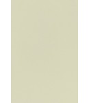 -70X135cm- 발묵潑墨-4단계 연레몬색색지 전지 10장