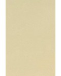 -70X135cm- 발묵潑墨-4단계 겨자색 색지 전지 10장