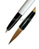 직경6X2.5mm 精品낭호中
