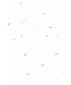 -70X135cm- 발묵潑墨-4단계 옥판선지흰색 냉금지전지10장