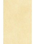 64X94/32 [색한지]미색 5장