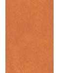 64X94cm/31 [색한지]나무색 5장