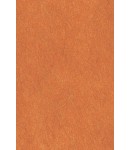 64X94cm/31 [색한지]나무색 5장