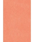 64X94cm/7 [색한지]살구색 5장
