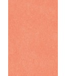 64X94cm/7 [색한지]살구색 5장