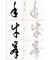 정주상기초 서보 (書譜)